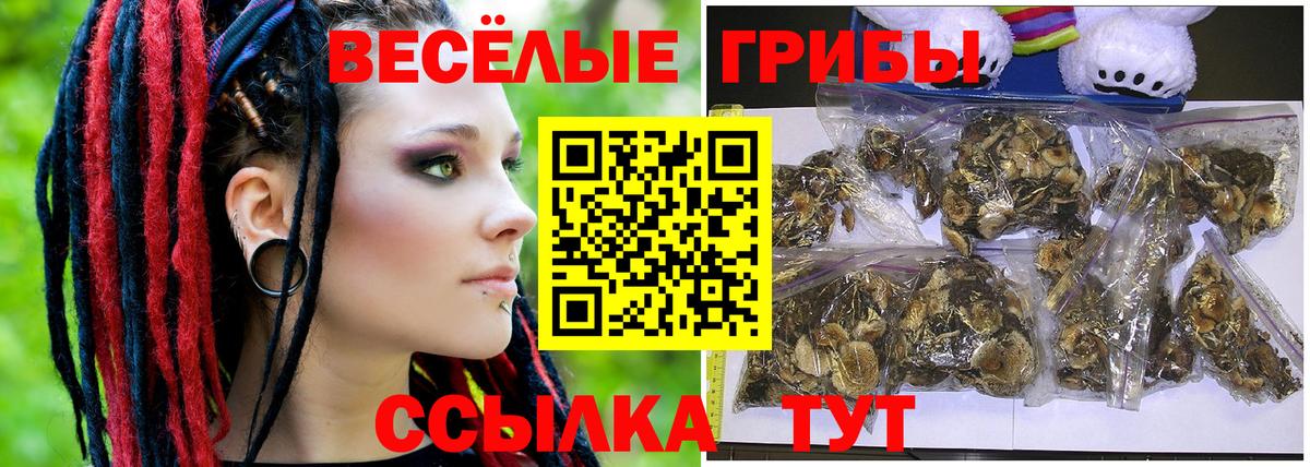 Фролово  Галлюциногенные грибы GOLDEN TEACHER  как найти наркотики  Вход с VPN 