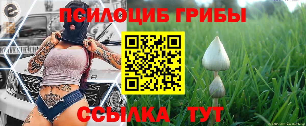 Галлюциногенные грибы GOLDEN TEACHER Фролово